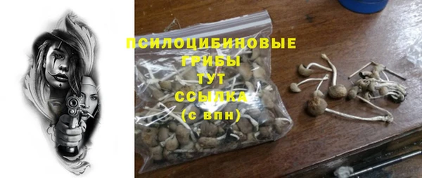 прущие крисы Верхний Тагил