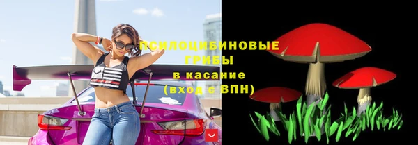 прущие крисы Верхний Тагил