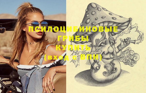 прущие крисы Верхний Тагил