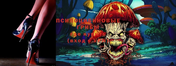 прущие крисы Верхний Тагил