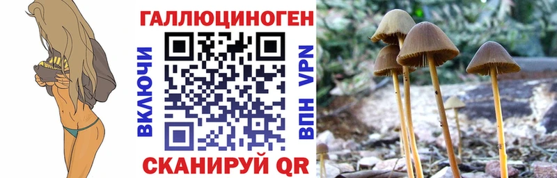 ссылка на мегу рабочий сайт  Чебоксары  Псилоцибиновые грибы ЛСД  купить закладку 